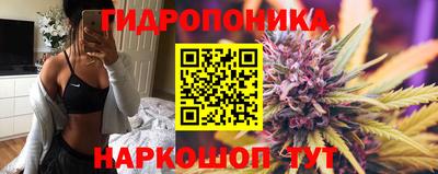 spice Апшеронск